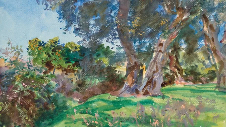 Olive Trees, Corfu, Sargent, 1909