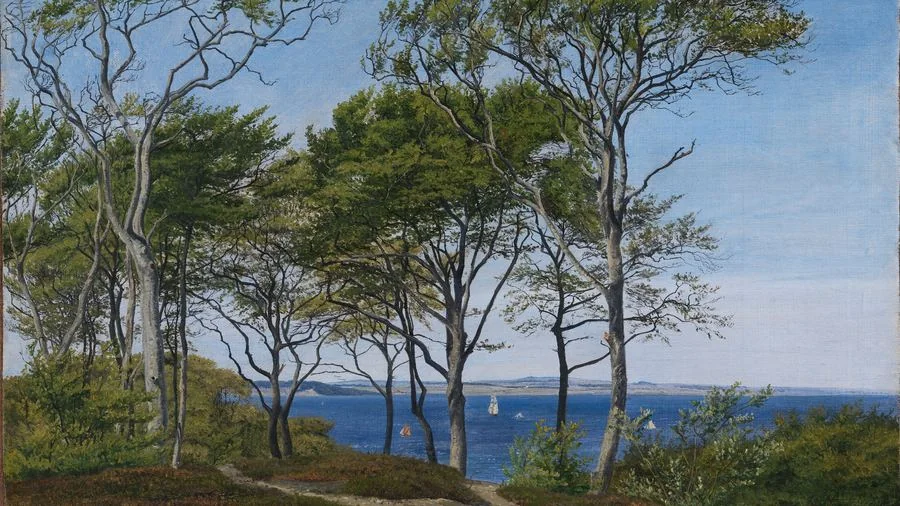 View through Beech Trees across a Fjord, Skovgaard, 1850-1859